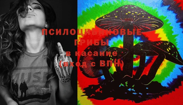 дживик Армянск
