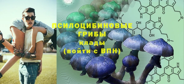 Альфа ПВП Аркадак