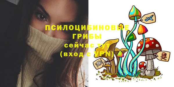 Альфа ПВП Аркадак