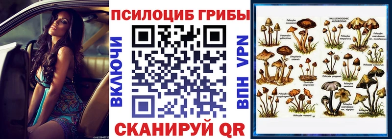 Псилоцибиновые грибы MAGIC MUSHROOMS  Волгоград 