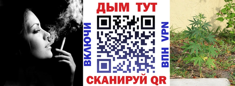 Бошки марихуана OG Kush  Волгоград 